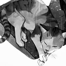 Author's Profile Photo